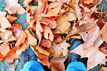 Image showing Dried leaves around shoes