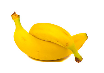 Image showing Intertwine pair of two yellow bananas isolated 