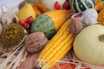 Image showing Autumn Harvest