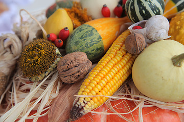 Image showing Autumn Harvest