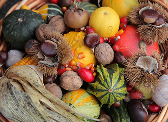 Image showing Autumn Harvest