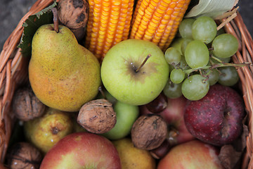 Image showing Fruit basket