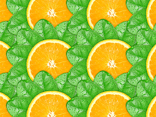 Image showing Background of orange slices and green leaf