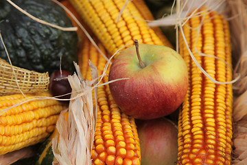 Image showing Apple and corn