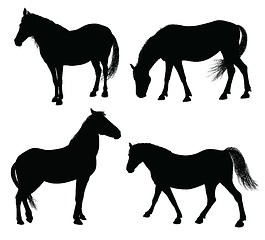 Image showing Vector horse silhouette  