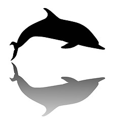 Image showing Dolphin  