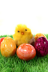 Image showing Easter eggs