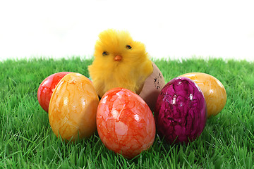 Image showing Easter eggs