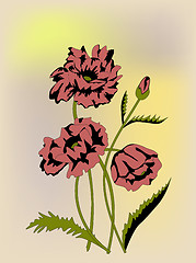 Image showing red poppies