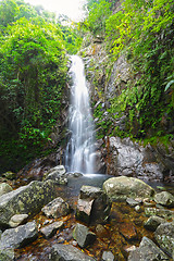 Image showing cascade in forest