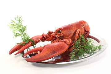 Image showing lobster with dill