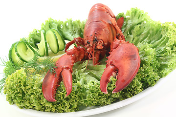 Image showing fresh lobster