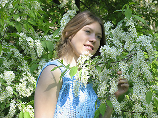 Image showing Girl and bird cherry tree
