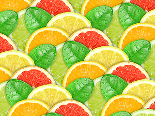 Image showing Background with motley citrus slices and green leaf