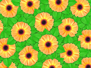 Image showing Background of orange flowers and green leaf