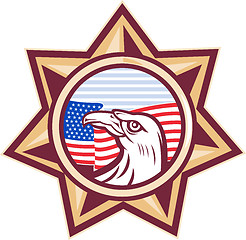 Image showing american eagle stars and stripes flag star