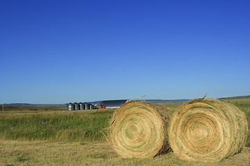 Image showing Farmland bales