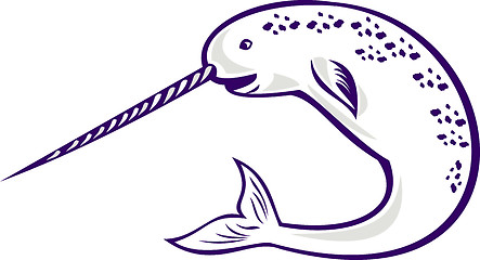 Image showing Narwhal Monodon monoceros unicorn whale