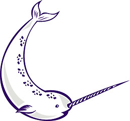 Image showing Narwhal Monodon monoceros unicorn whale
