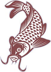 Image showing Koi carp swimming down