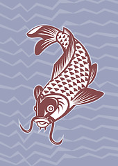Image showing Koi carp swimming down