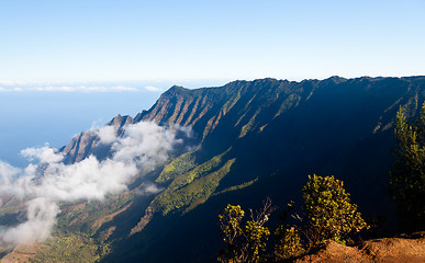 Image showing Fog forms on Kalalau valley Kauai