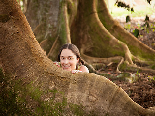 Image showing Girl peeping from behind Moreton Fig