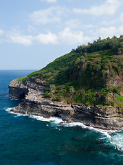 Image showing Bird sanctuary at Kilauea