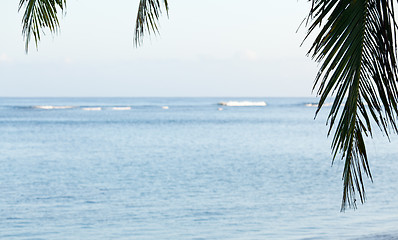 Image showing Palm fronds frame ocean