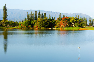 Image showing Na Pali mountains and lake