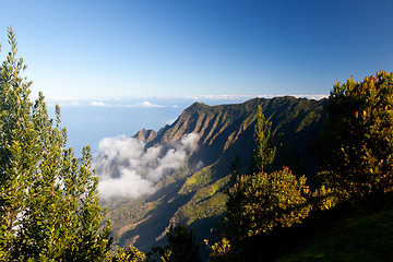 Image showing Fog forms on Kalalau valley Kauai