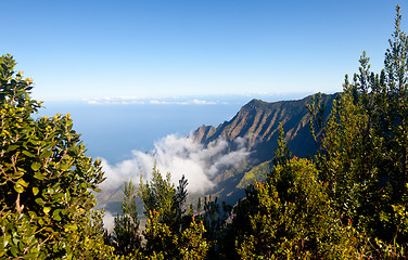 Image showing Fog forms on Kalalau valley Kauai