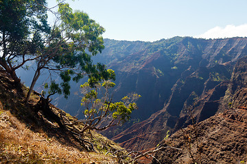 Image showing Waimea Canyon on Kauai