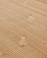 Image showing Footsteps in rippled sand