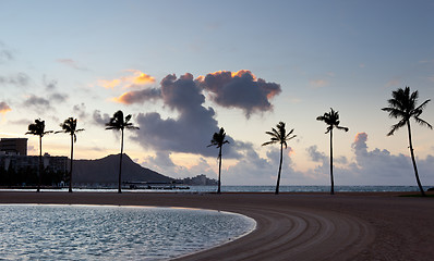 Image showing Palm trees at dawn in Waikiki