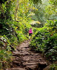 Image showing Girl hiking Kalalau trail in Kauai