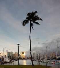 Image showing Downtown Honolulu at dawn Ala Wai harbor