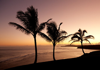 Image showing Sunrise in Kauai