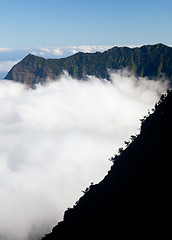 Image showing Fog forms on Kalalau valley Kauai