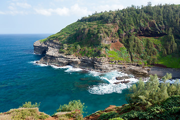 Image showing Bird sanctuary at Kilauea