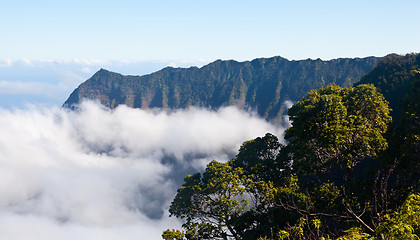 Image showing Fog forms on Kalalau valley Kauai