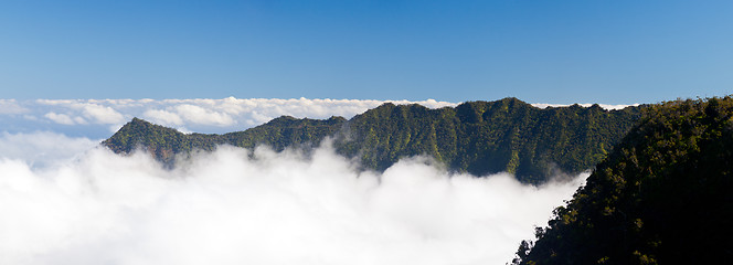 Image showing Fog forms on Kalalau valley Kauai