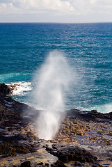 Image showing Spouting Horn off Poipu in Kauai