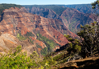 Image showing Waimea Canyon on Kauai