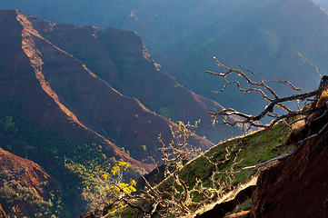 Image showing Waimea Canyon on Kauai