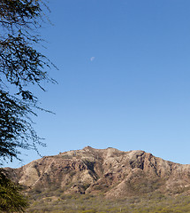 Image showing Interior of Diamond Head Crater