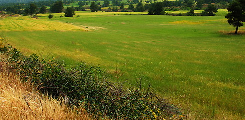 Image showing Green panorama. Cyprus