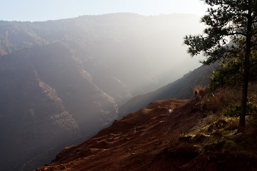 Image showing Waimea Canyon on Kauai