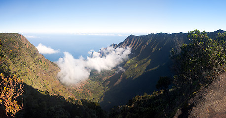 Image showing Fog forms on Kalalau valley Kauai