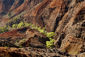 Image showing Waimea Canyon on Kauai